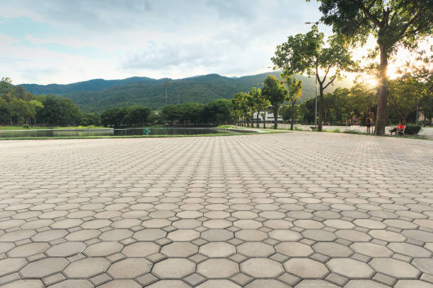 Best Concrete Paver Driveway  in National City, CA